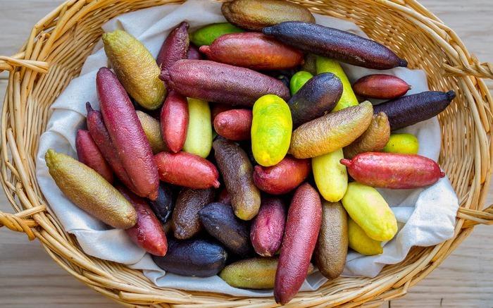 Loại quả được giới nhà giàu Trung Quốc ưa chuộng: 1kg giá gần nửa lượng vàng-1