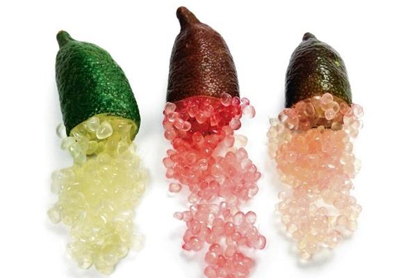 Thực hư những nghề nhạy cảm bị cấm đi tour du lịch một tỉnh ở Trung Quốc-4