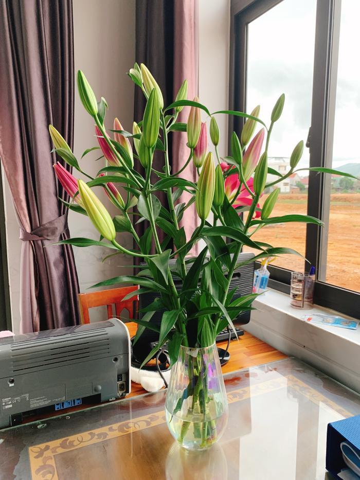 Tiết lộ bố là giám đốc, căn nhà của tân hoa hậu Huỳnh Trần Ý Nhi lập tức được tìm ra-5