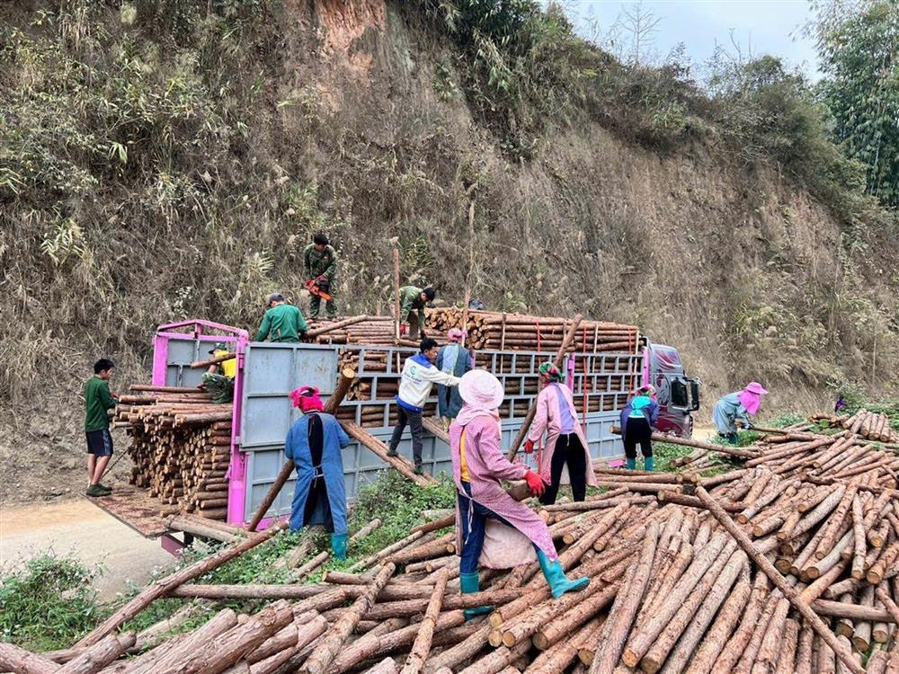 Nữ tài xế xinh đẹp Thái Nguyên gây sốt: Lái xe 30 tấn chinh phục đường đèo-4