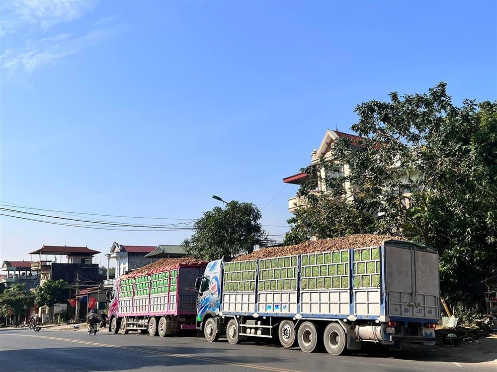 Nữ tài xế xinh đẹp Thái Nguyên gây sốt: Lái xe 30 tấn chinh phục đường đèo-5