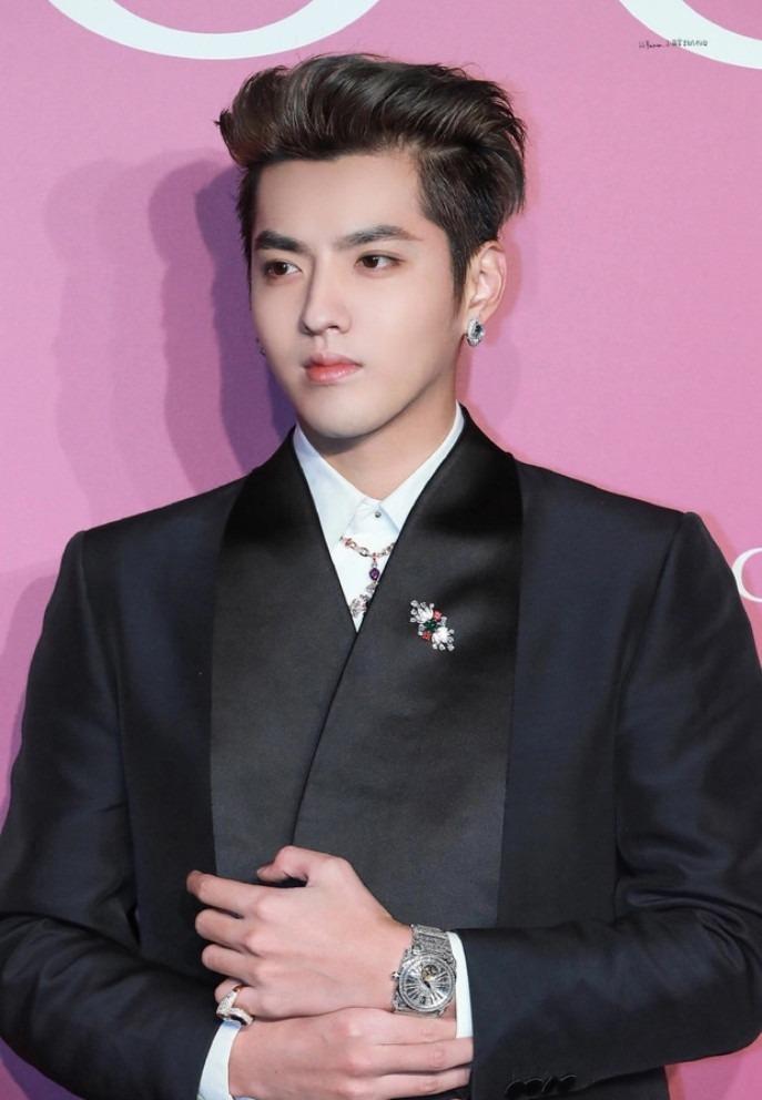 Ngô Diệc Phàm xin kháng cáo vì án tù 13 năm quá nặng-3