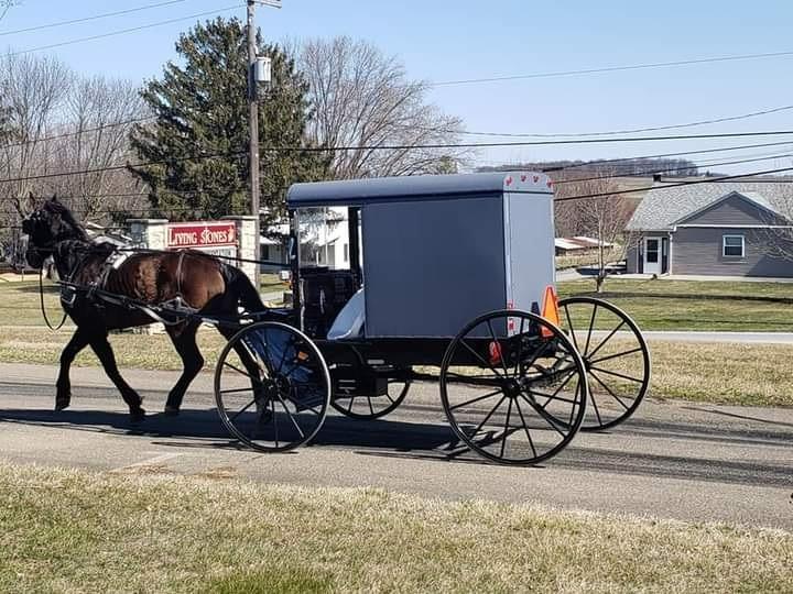 Người phụ nữ Việt kể chuyện lấy chồng thuộc bộ tộc kỳ lạ nhất nước Mỹ-2