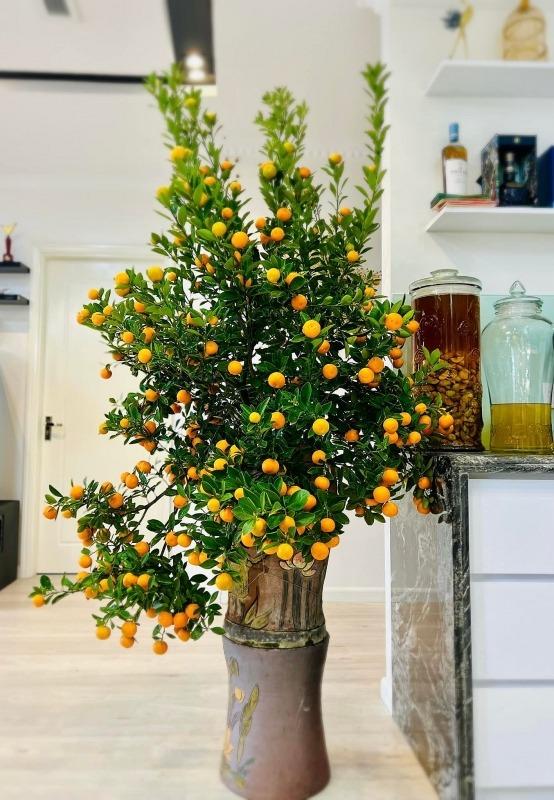 Cô bốc vác Luyến lươn lên sóng bình luận World Cup, hiếm hoi tiết lộ góc nhà giản dị-9