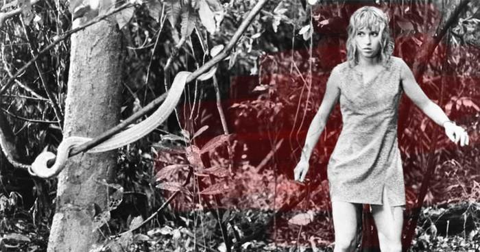 Câu chuyện cô gái rơi khỏi máy bay ở độ cao 3.000 mét, 11 ngày sau được tìm thấy với bộ dạng khó tin-4