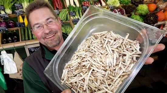 Chồi hoa từng bị vứt bỏ bỗng được giới nhà giàu săn lùng-3