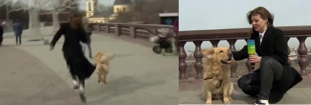 Các sự cố hy hữu trên sóng truyền hình trực tiếp khiến khán giả bất ngờ-7