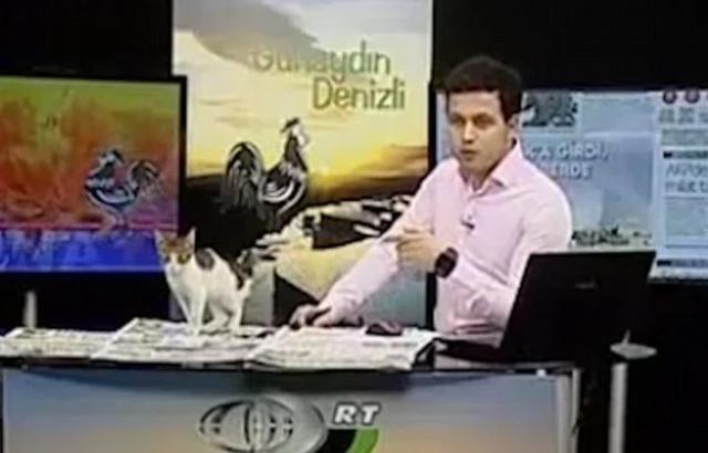 Các sự cố hy hữu trên sóng truyền hình trực tiếp khiến khán giả bất ngờ-9