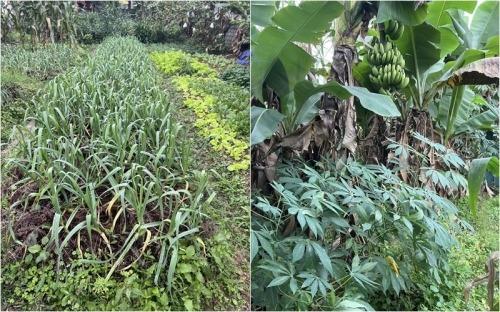 Lần đầu tiên xứ Nghệ có hai chị em ruột cùng lọt Top cuộc thi Hoa hậu danh giá, ngôi nhà ở quê có gì đặc biệt?-9