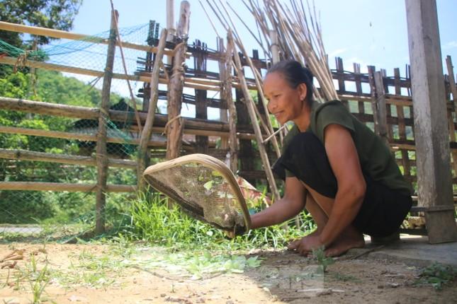 Mùa bướm đặc sản độc lạ ở miền Tây Nghệ An-3