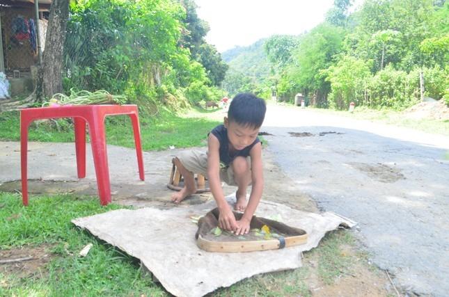 Mùa bướm đặc sản độc lạ ở miền Tây Nghệ An-7