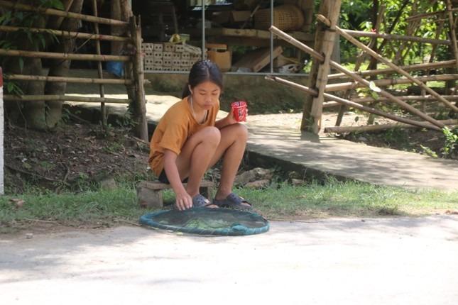 Mùa bướm đặc sản độc lạ ở miền Tây Nghệ An-9