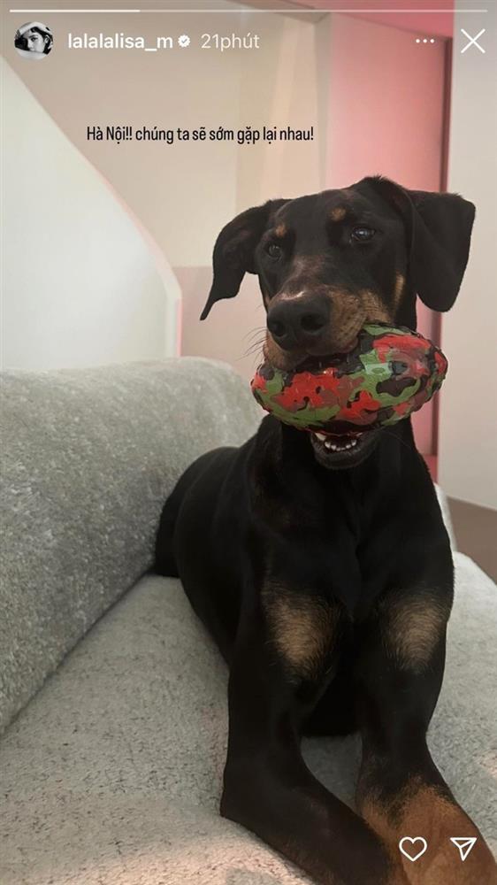 Trước đêm diễn thứ hai, Blackpink khoe ảnh đội nón lá, viết tiếng Việt-2