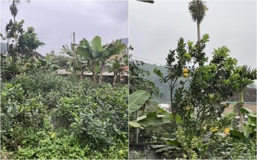 Khung cảnh giản dị nhà Minh Kiên, nàng Á hậu có hoàn cảnh đặc biệt - cha mẹ ly hôn khi chưa kịp chào đời, đối lập với nhà Hoa hậu và Á hậu 1-14