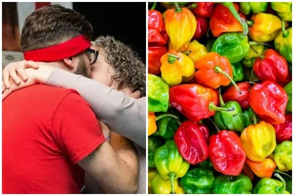 Chú gà hơn 21 năm tuổi sống thọ nhất thế giới-4