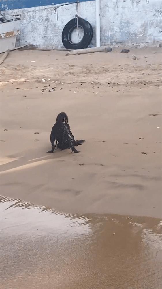 Khoảnh khắc người ngoài hành tinh đen xuất hiện trên bãi biển khiến 27 triệu người xem khiếp sợ-1