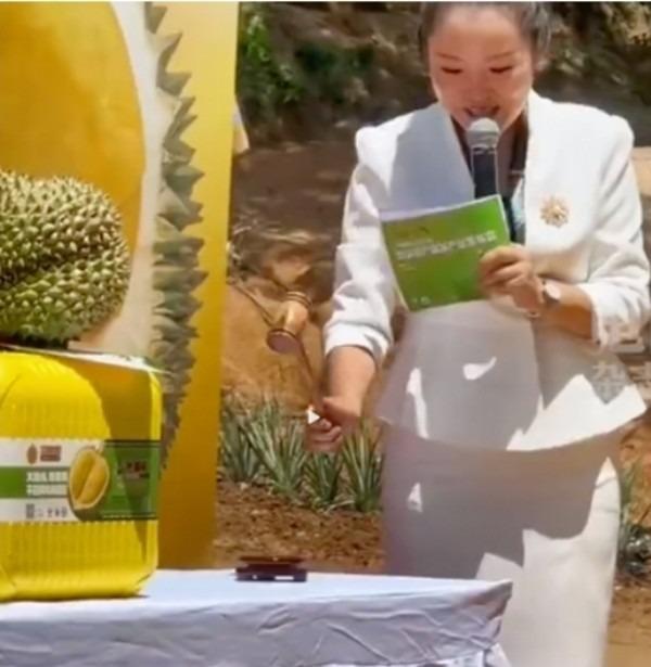 Đấu giá quả sầu riêng nặng gần 7 kg ở Trung Quốc, số tiền bán được cực sốc-1