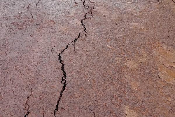 6 nô lệ tình dục trong căn hầm bí mật-3