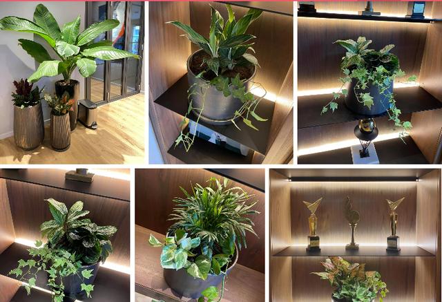 MC Thành Trung hé lộ cơ ngơi trên truyền hình, luôn có chỗ dành cho con gái riêng-6