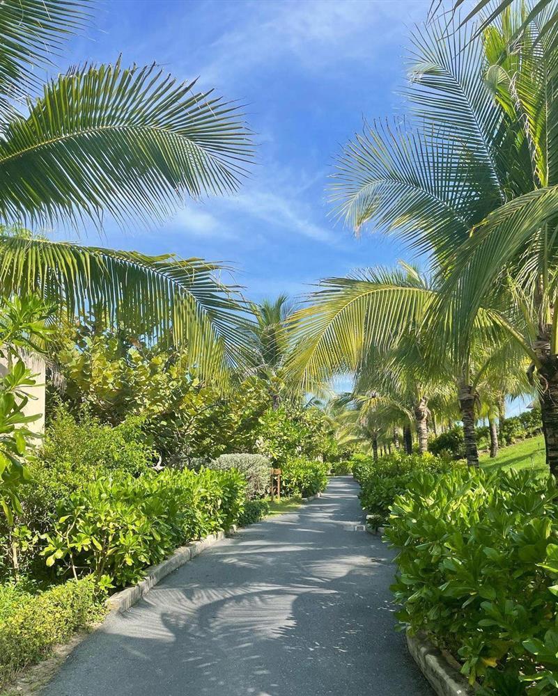 Sao nữ Reply 1988 khoe ảnh du lịch Nha Trang, netizen hài hước nhắc tên Rosé (BLACKPINK)-3