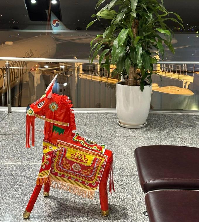 Vì sao ngựa vàng mã của khách tây không được lên máy bay?-2