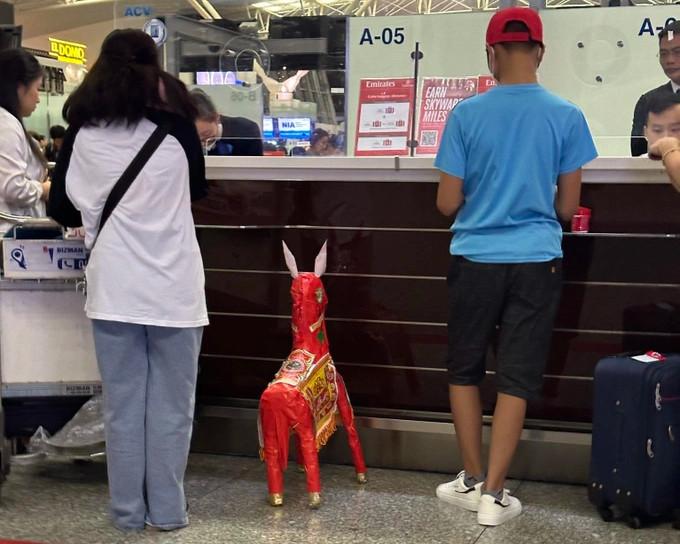 Ông Tây ôm ngựa mã ở sân bay từng tắm tiên sông Hồng, mua điếu cày về Pháp-3