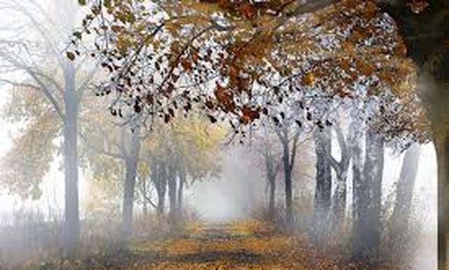 7 việc làm trong tháng 7 âm mang lại may mắn, thuận lợi nhiều người không biết-1