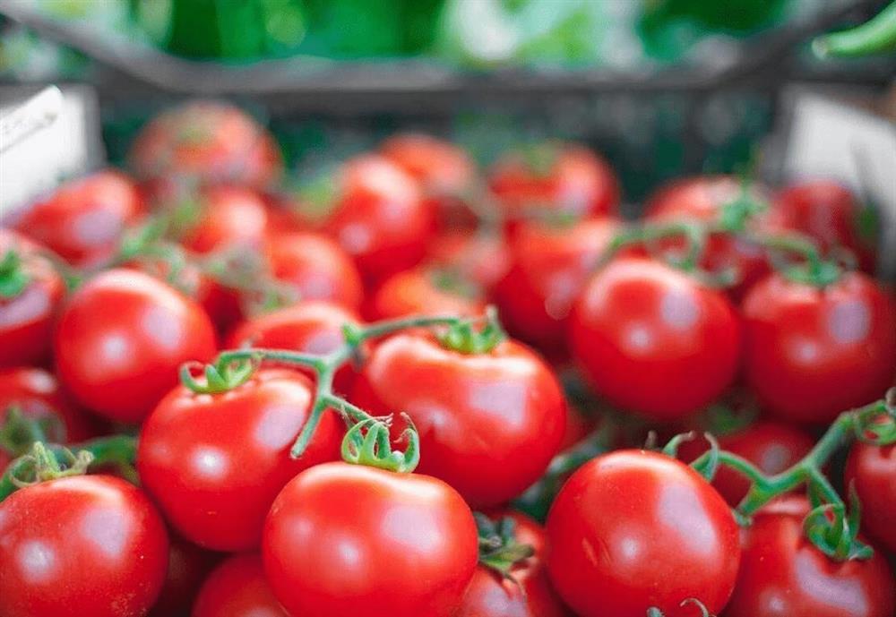 7 món ăn ngon mà không lo bị tăng cân-5