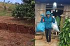Phát hiện thêm 2 vụ nứt đất, sụt lún nghiêm trọng ở Đắk Nông