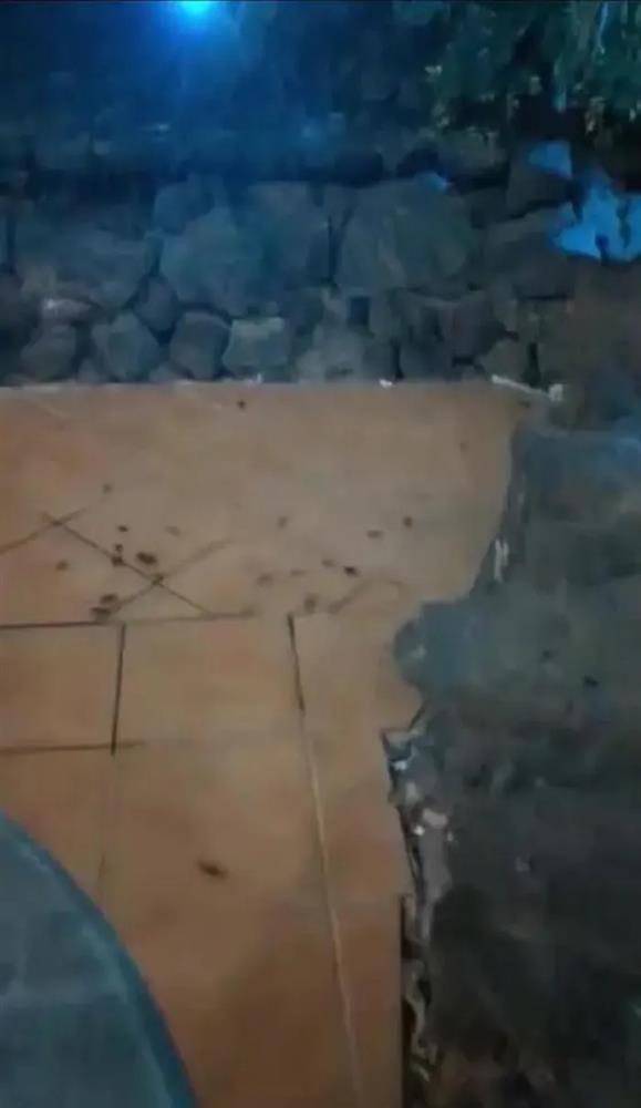 Hàng nghìn con gián tấn công khách sạn, phá hỏng kỳ nghỉ trong mơ của du khách-3