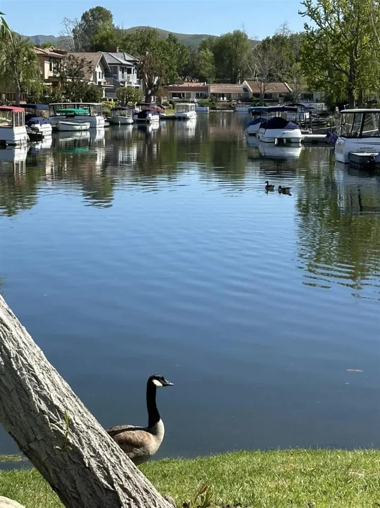 Tuyên bố vỡ nợ ở tuổi U80, tình cũ Ngọc Trinh vẫn gây bất ngờ về nơi đang sống-13