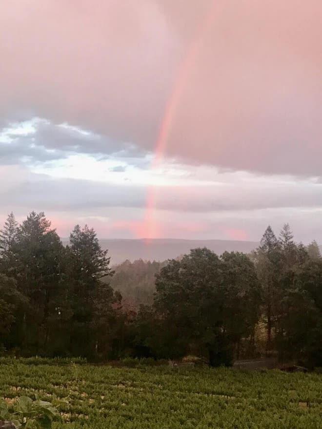 Tuyên bố vỡ nợ ở tuổi U80, tình cũ Ngọc Trinh vẫn gây bất ngờ về nơi đang sống-16