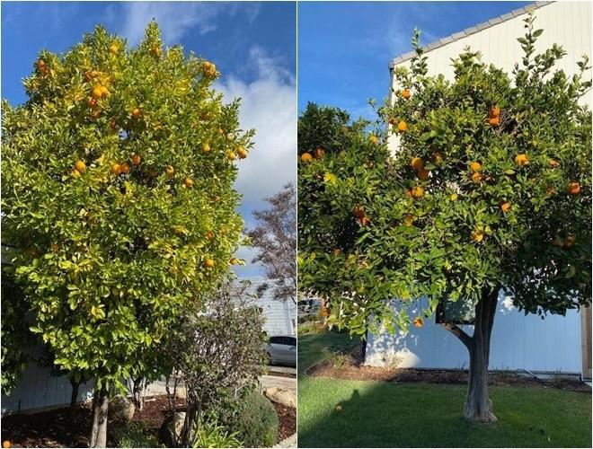 Tuyên bố vỡ nợ ở tuổi U80, tình cũ Ngọc Trinh vẫn gây bất ngờ về nơi đang sống-7