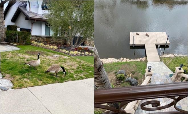 Tuyên bố vỡ nợ ở tuổi U80, tình cũ Ngọc Trinh vẫn gây bất ngờ về nơi đang sống-10