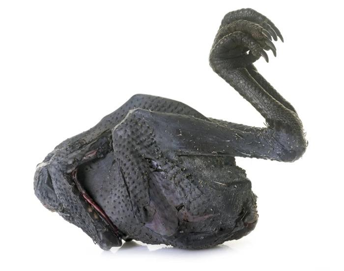 Giống gà kỳ lạ đen cả xương lẫn thịt, đâu là nguyên nhân?-2