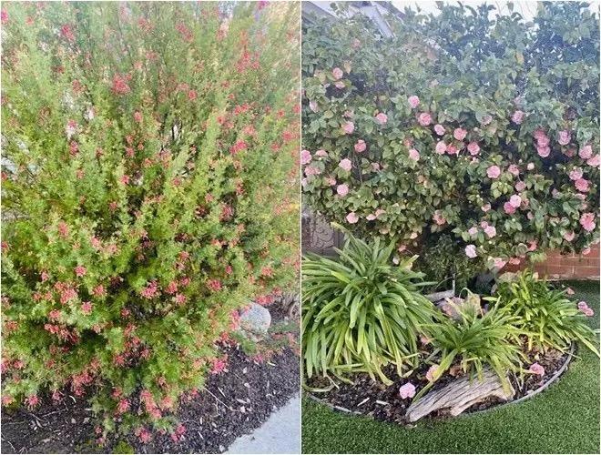 Cuộc sống sau vỡ nợ của tỷ phú Hoàng Kiều-5