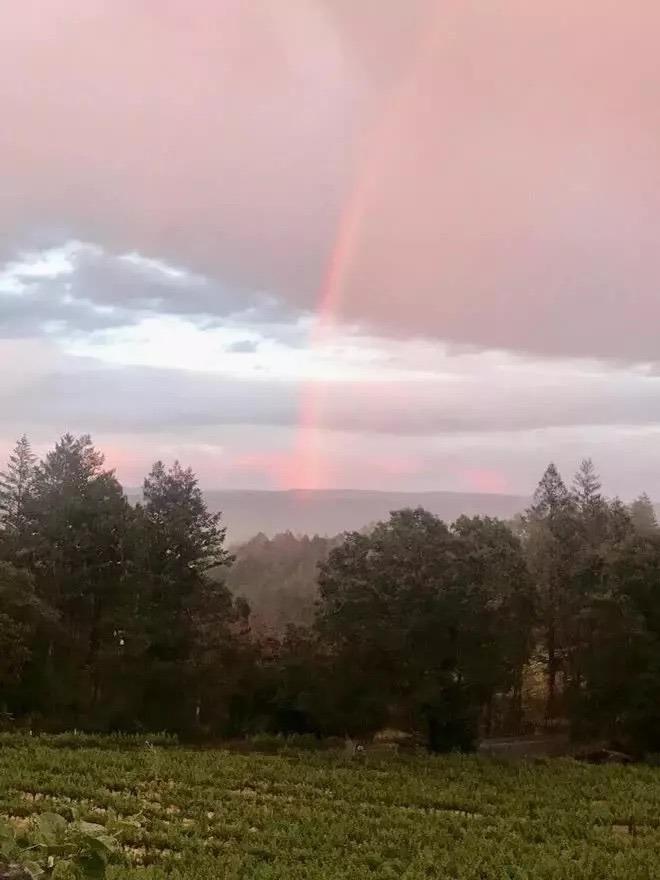 Cuộc sống sau vỡ nợ của tỷ phú Hoàng Kiều-7