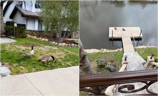 Cuộc sống sau vỡ nợ của tỷ phú Hoàng Kiều-9