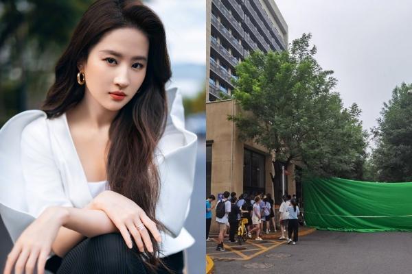 Sao phim Harry Potter: Quá khứ vào tù ra tội, hiện tại vất vả kiếm sống-4