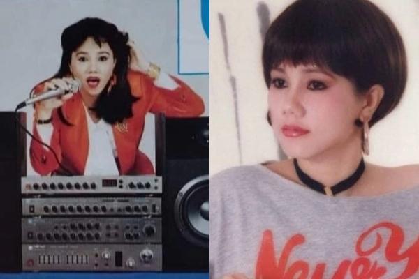 Nữ hoàng nhạc rock Ngọc Ánh: Bỏ bê con nhỏ, chạy show mỗi tháng 10 cây vàng-5