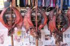 Indonesia: Chợ thịt chó bị cấm giết mổ vĩnh viễn, kẻ tiếc nuối người ủng hộ