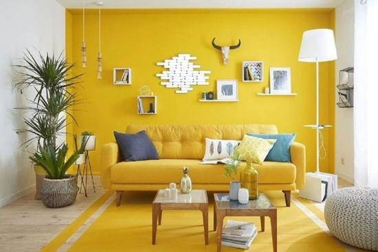 Những màu sơn đại kỵ cần tránh khi sơn nhà