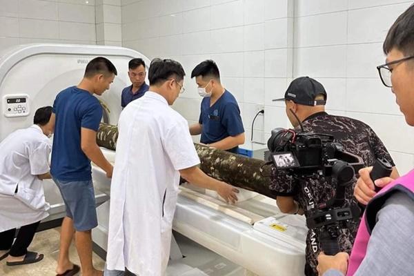 Cây cổ thụ đẹp nhất Trung Quốc, gần 900 năm tuổi vẫn nở hoa đều đặn-5