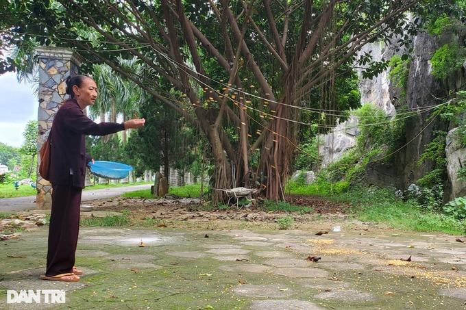 Thanh Hóa: Đàn khỉ hoang trăm con trên núi đá, hàng ngày xuống chùa xin ăn-2