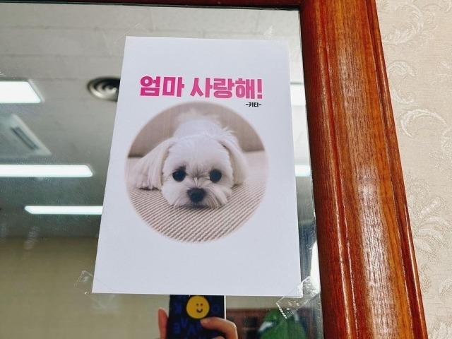 Son Ye Jin được ông xã Hyun Bin nhắn nhủ lời yêu-3