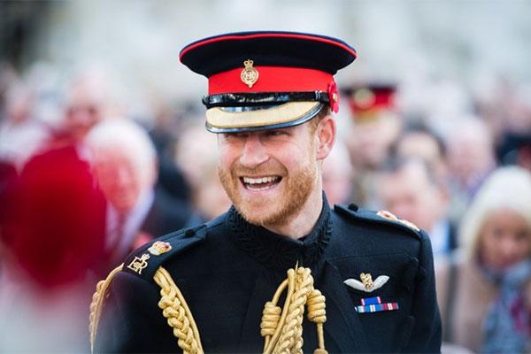 Người thừa kế ngai vàng trẻ tuổi của hoàng gia thế giới-19