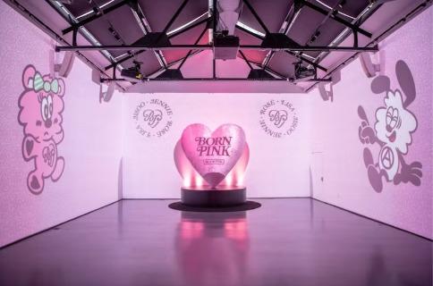 Cận cảnh xe đạp BLACKPINK giá sương sương 83 triệu đồng-2