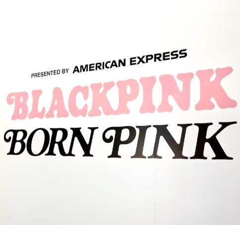 Cận cảnh xe đạp BLACKPINK giá sương sương 83 triệu đồng-5