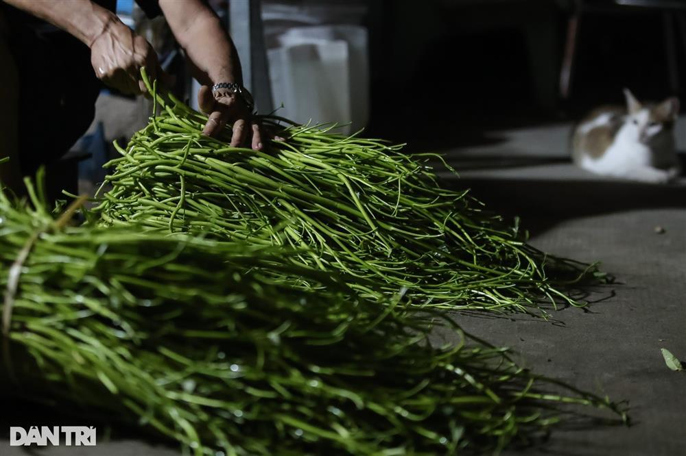 Xóm nhặt rau muống thuê lúc nửa đêm ở TPHCM-8