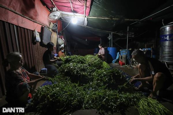 Luộc rau muống cho quả sấu trước hay sau mới đúng?-2